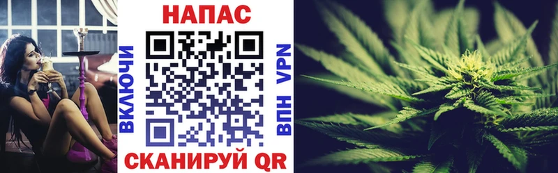 Бошки Шишки OG Kush  купить наркотики сайты  omg рабочий сайт  Ува 